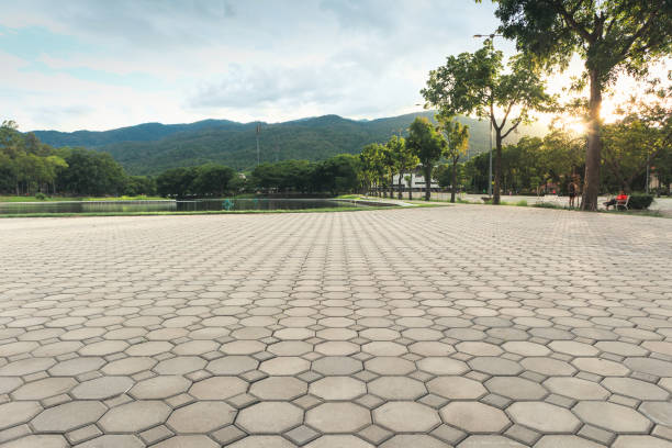 Best Professional Driveway Pavers  in Collinsvle, IL